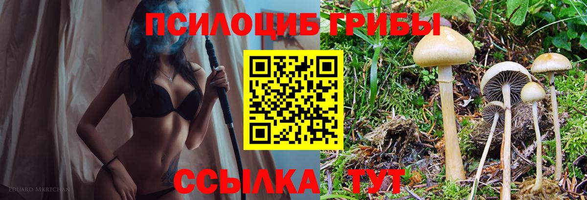 Галлюциногенные грибы мухоморы  Псилоцибиновые грибы ЛСД  Туапсе  Вход с VPN 